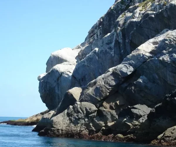 pedra do gorila